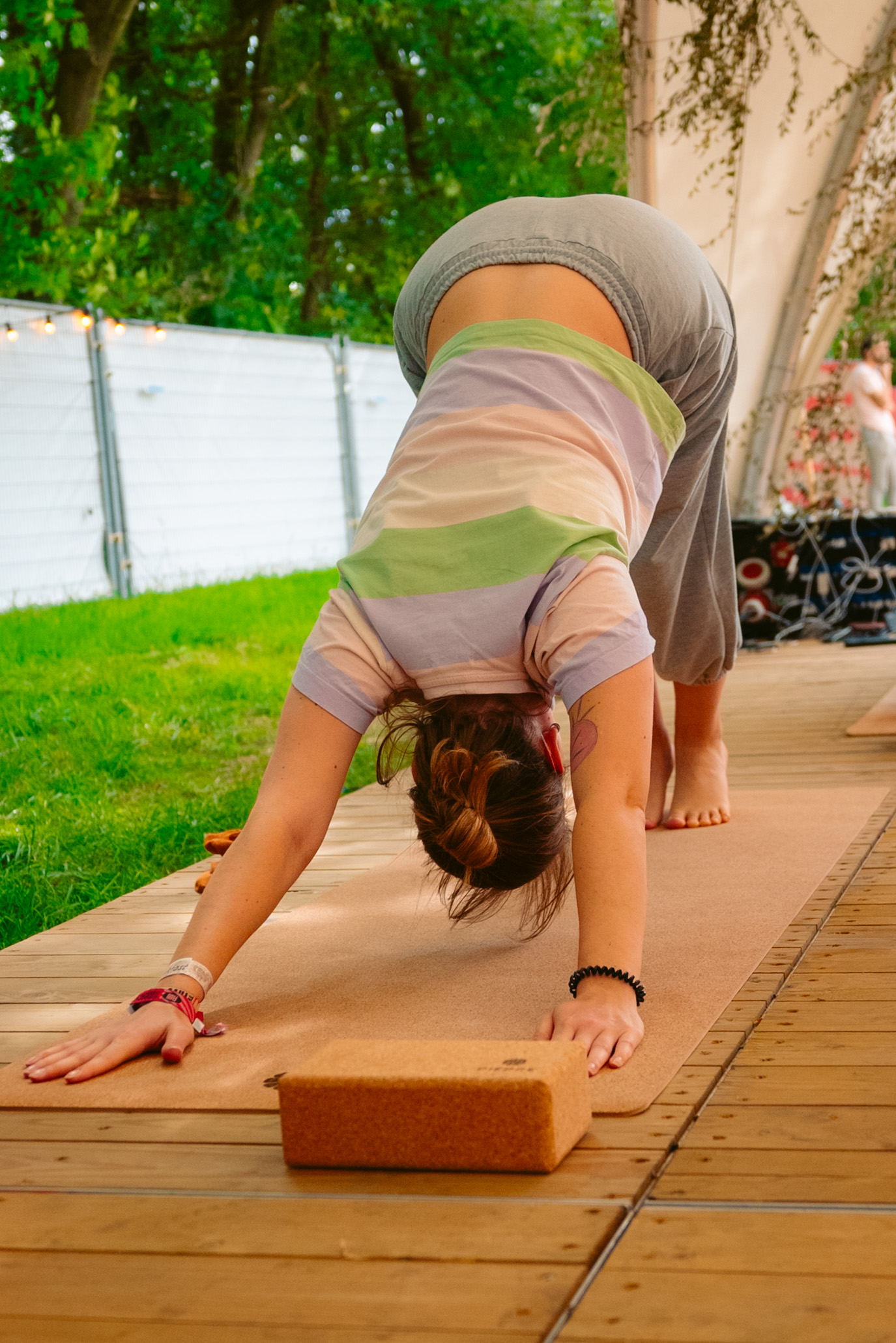 Rock Werchter Downward Dog Block Grass