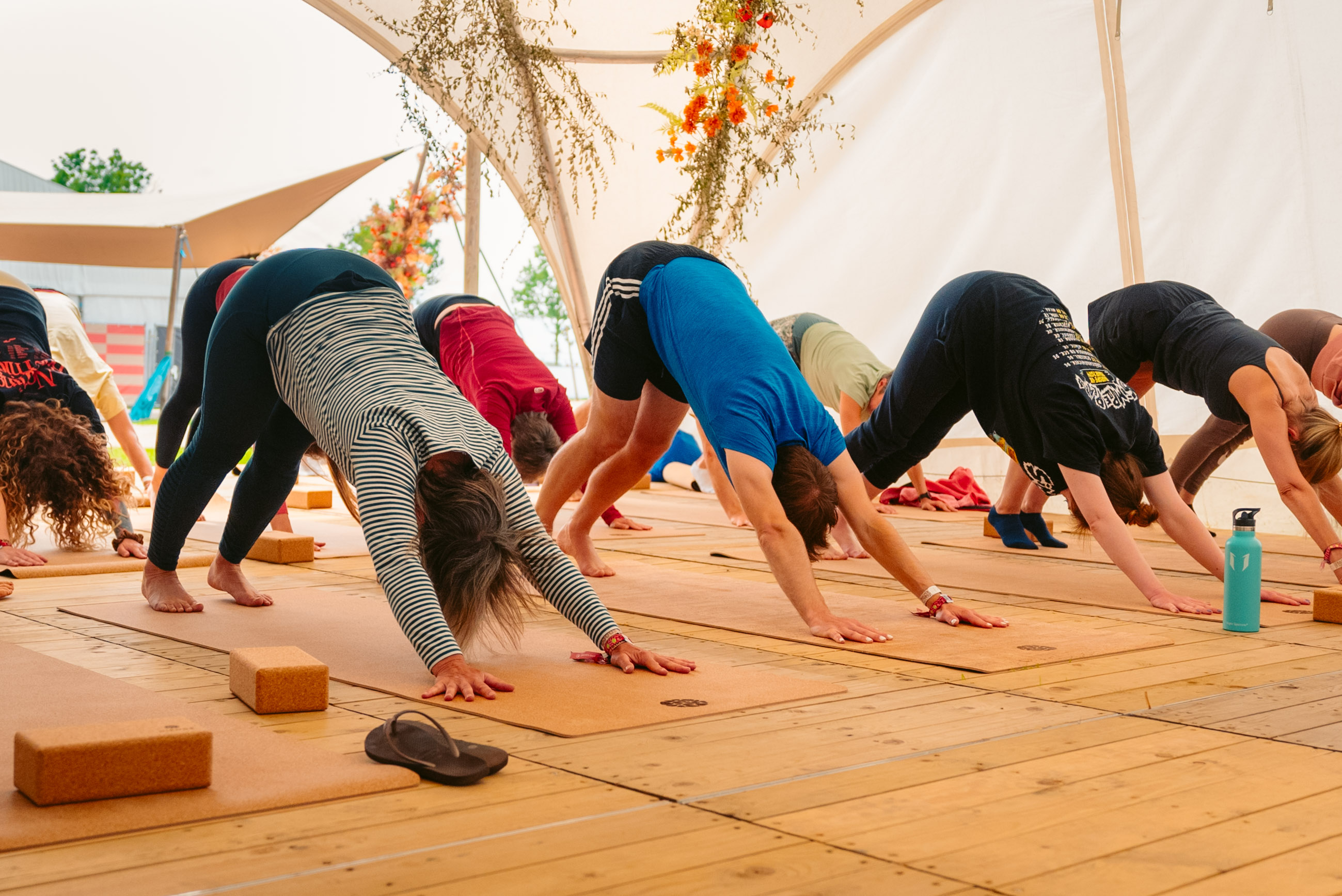 Rock Werchter Downward Dog Class Row
