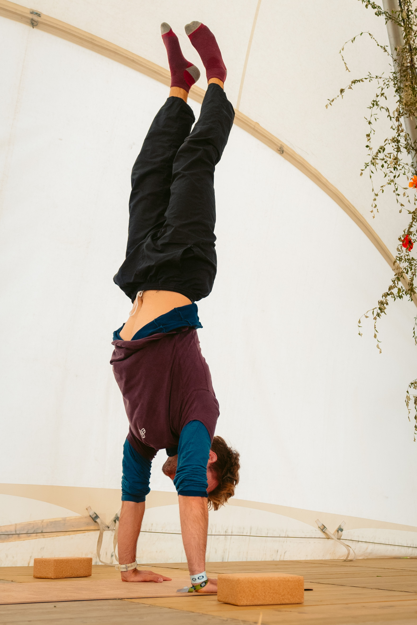 Rock Werchter Handstand Tent Flowers Wall