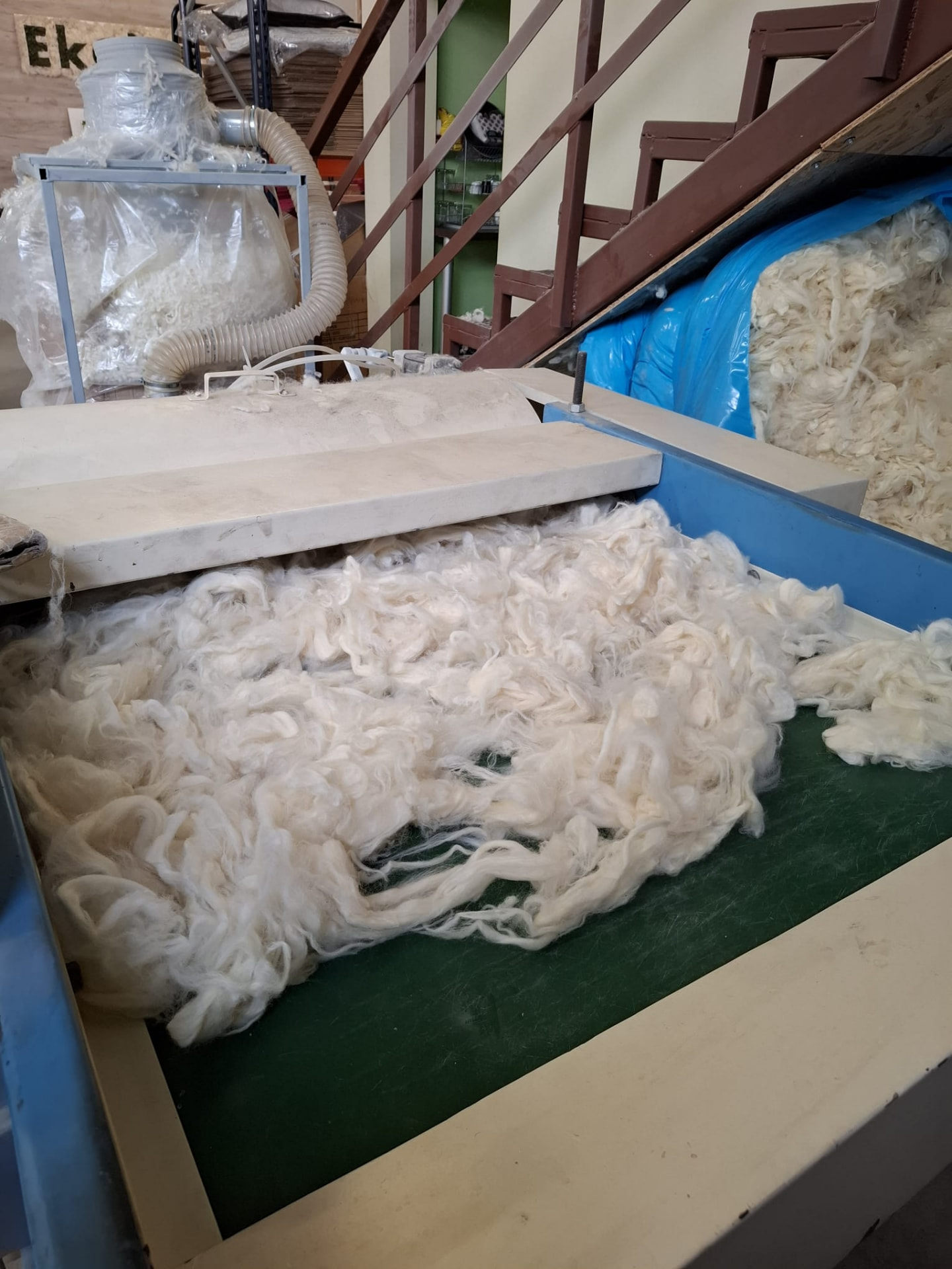 Raw Fleece Carding