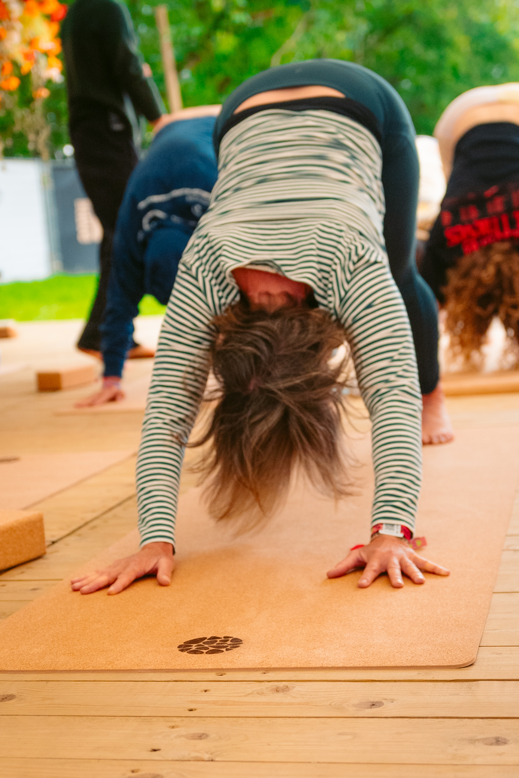 Rock Werchter Downward Dog Striped Row