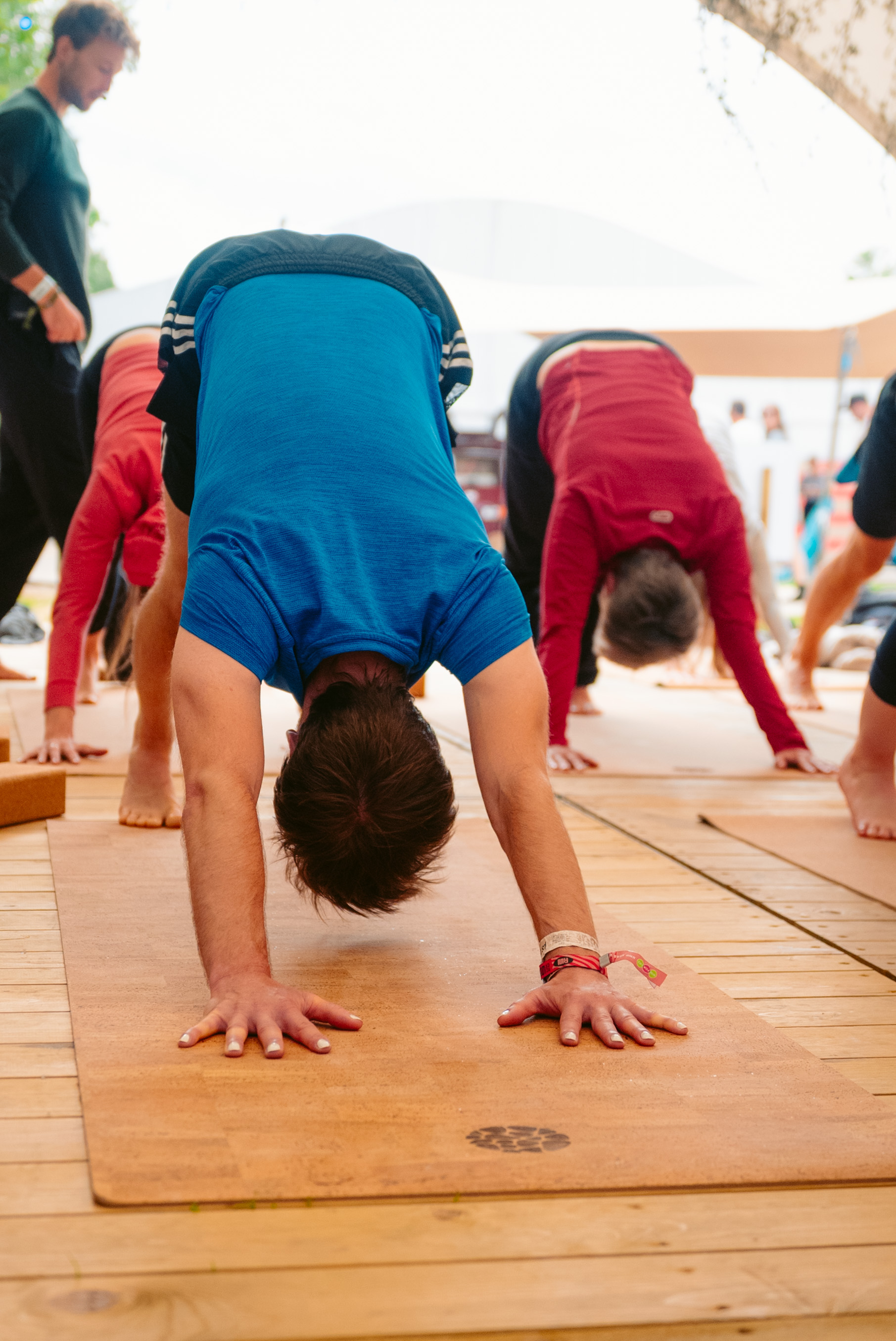 Rock Werchter Downward Dog Blue Shirt