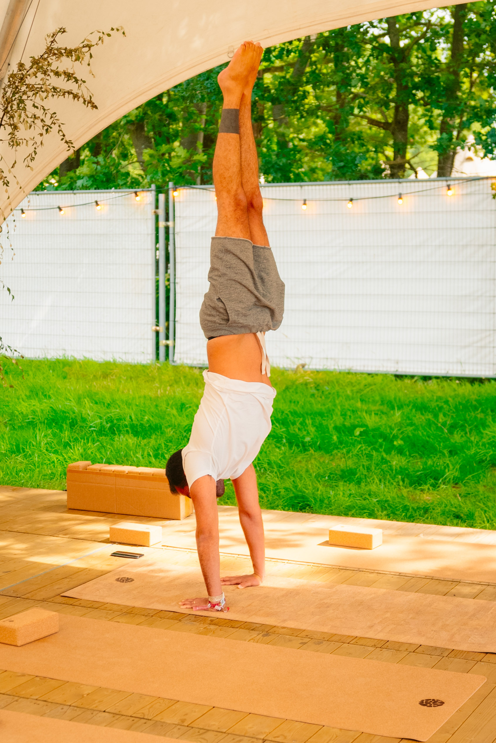 Rock Werchter Handstand Hedge Background