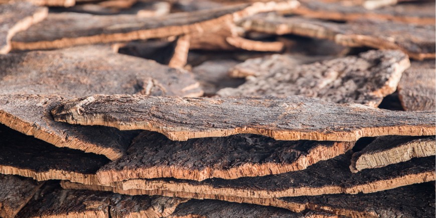 Raw Harvested Cork Oak Tree Bark