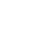 PIERRE Minimalist Brand Icon