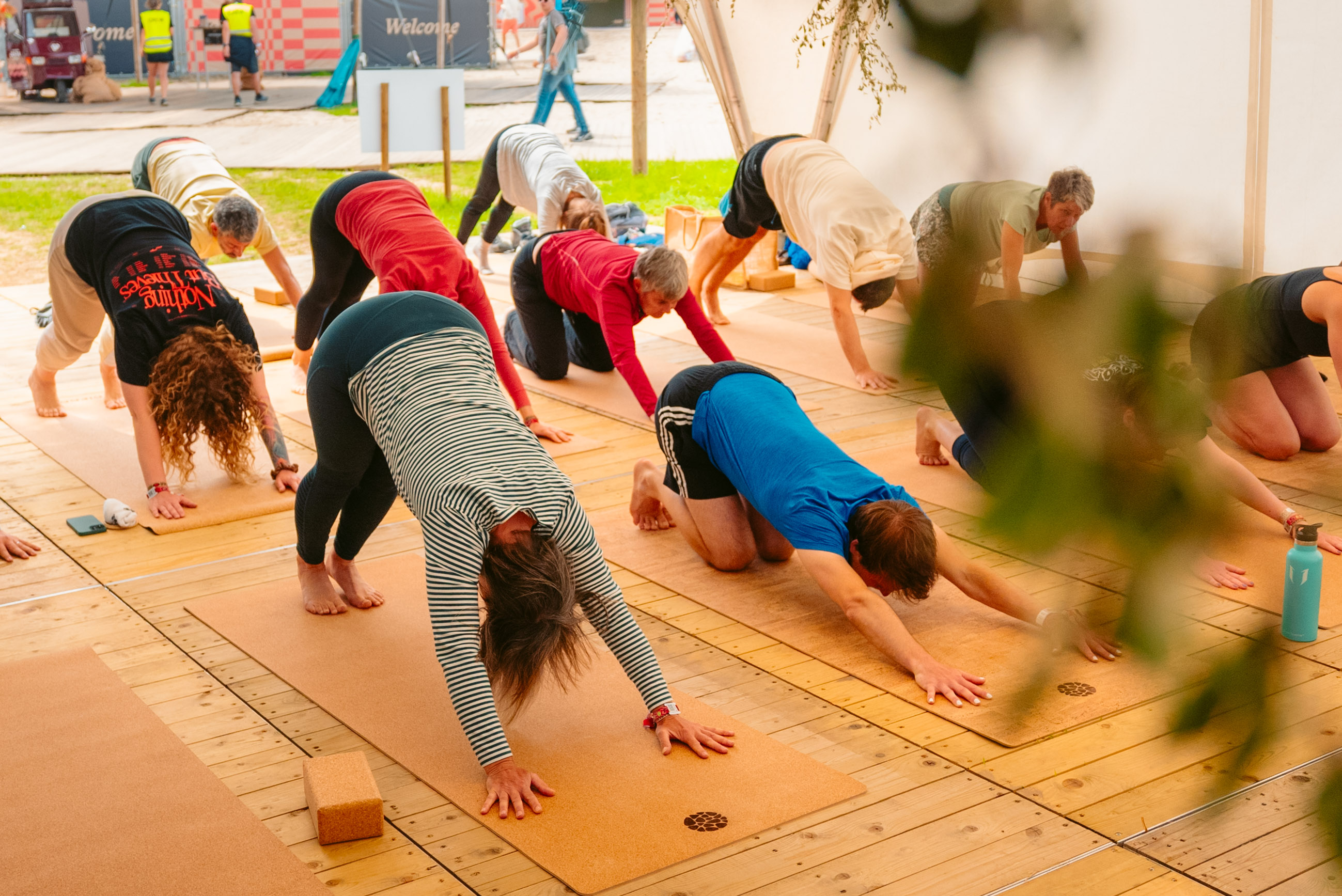 Rock Werchter Downward Dog Row Wide