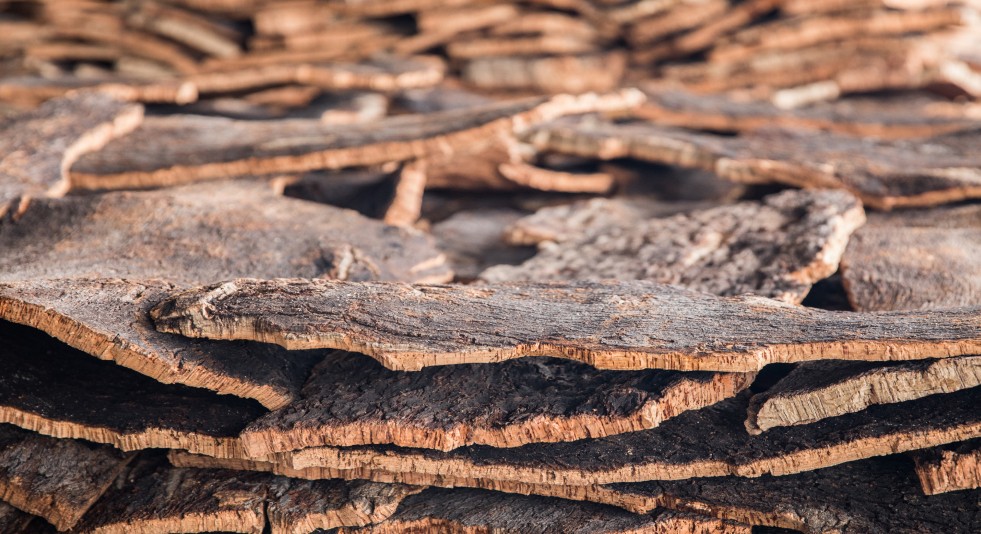 Raw Cork Oak Bark Strips