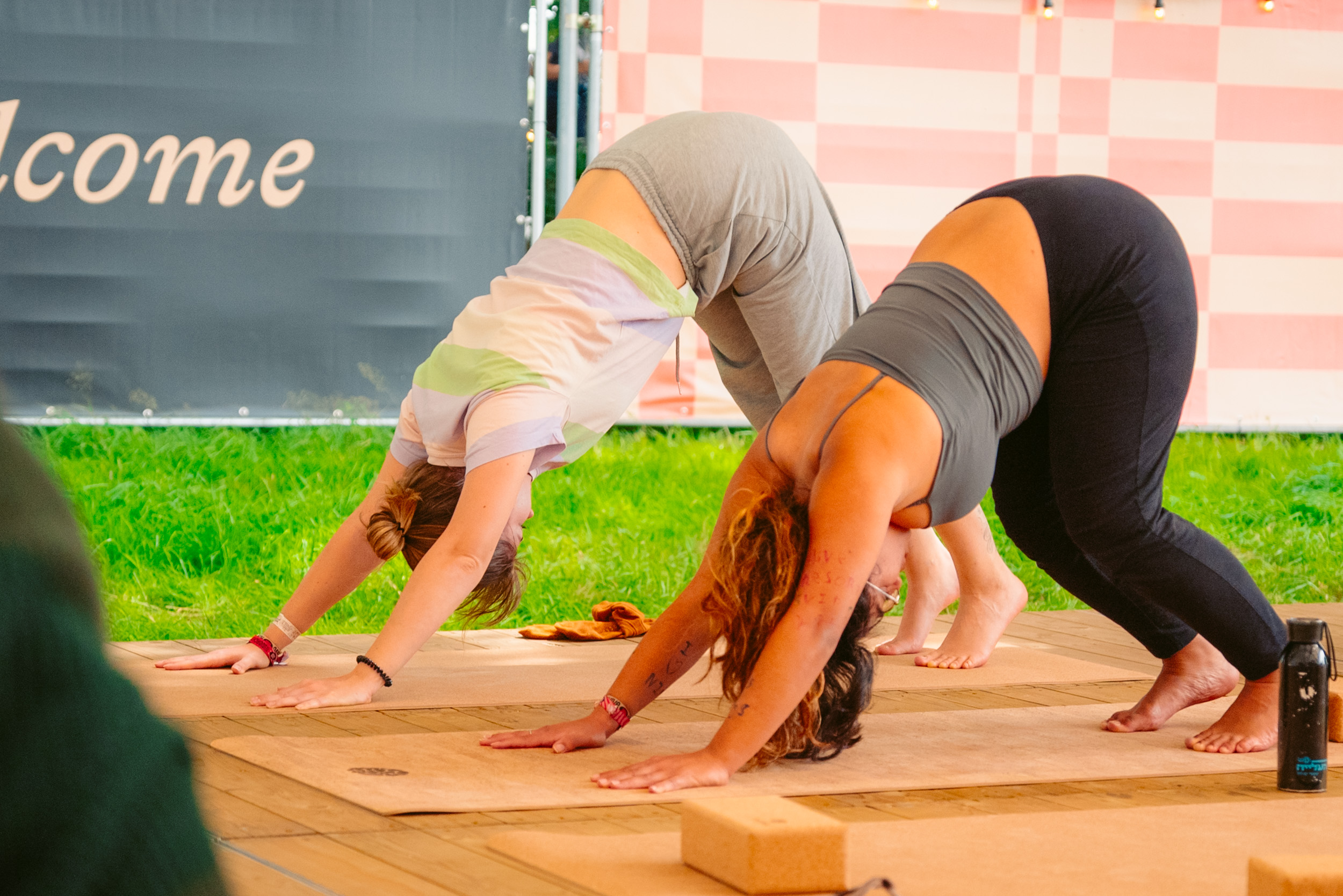 Rock Werchter Downward Dog Pair Grass