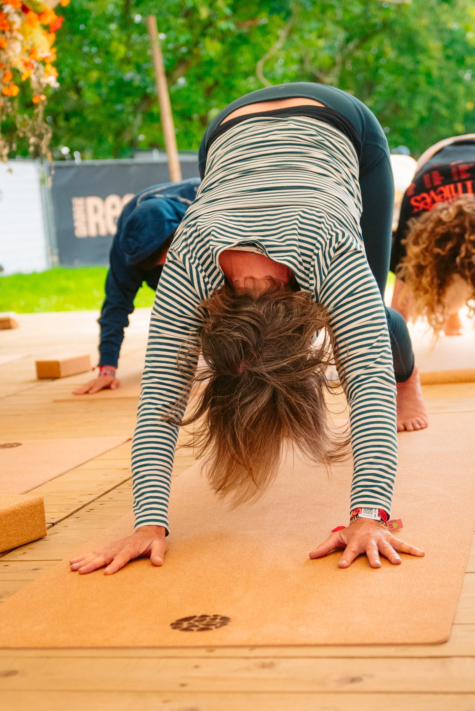 Rock Werchter Downward Dog Striped Close