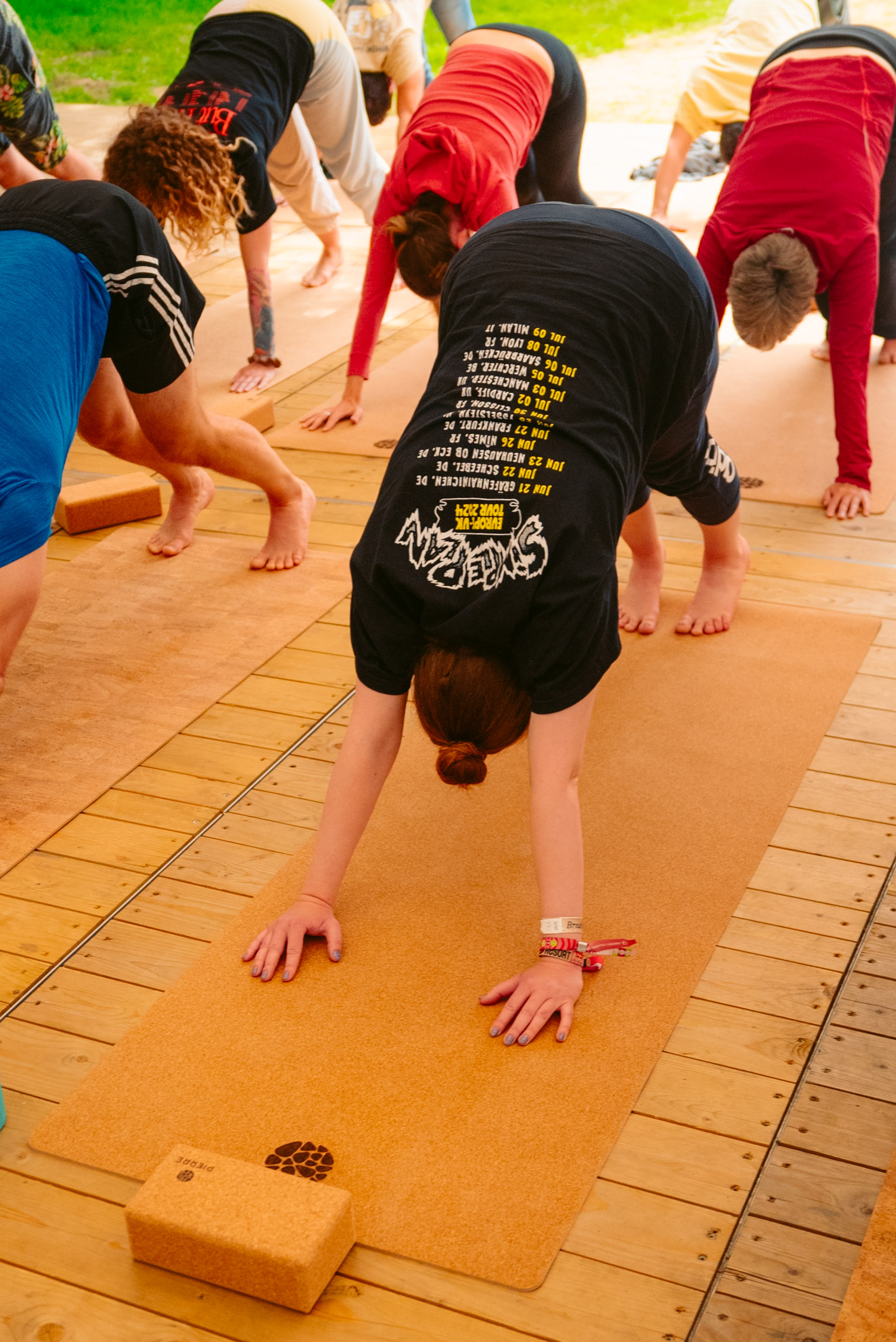 Rock Werchter Downward Dog Black Shirt