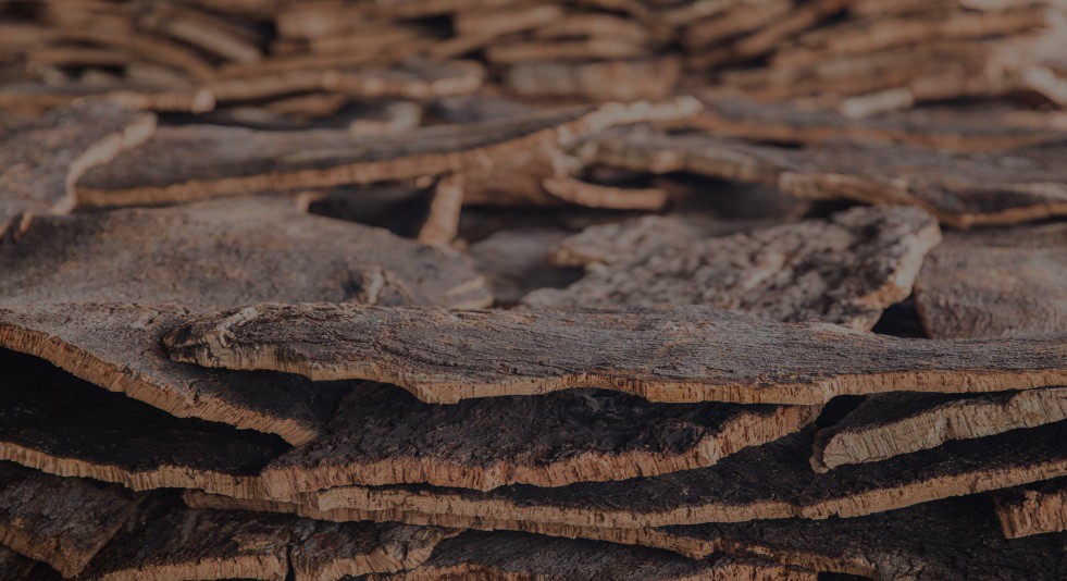 Raw Cork Oak Bark Pieces