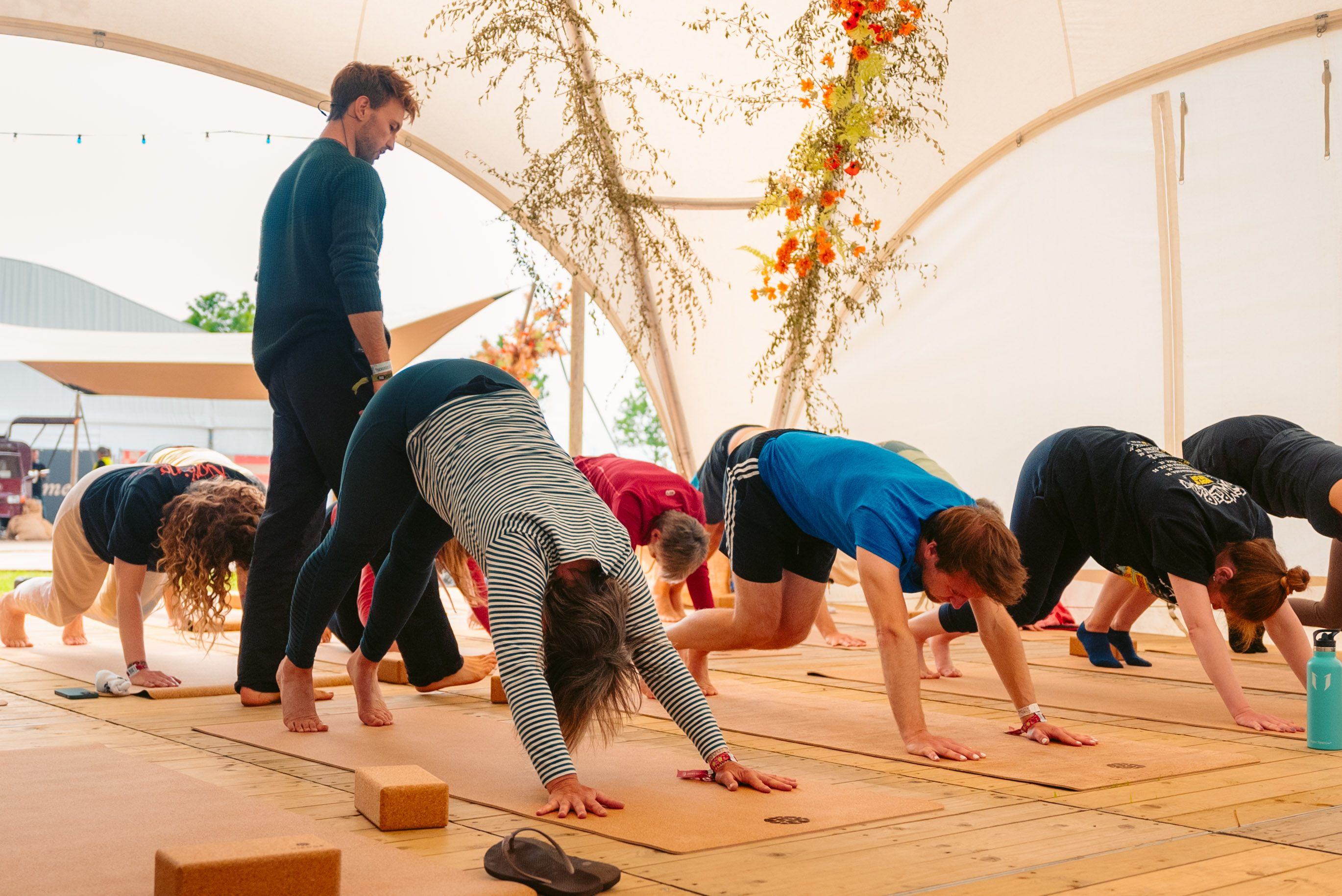 Rock Werchter Downward Dog Row Teacher